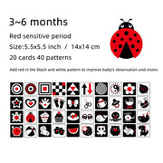 Colored and Black & White Flash Cards High Contrast Visual Stimulation Learning Activity