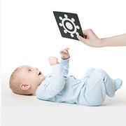 Colored and Black & White Flash Cards High Contrast Visual Stimulation Learning Activity